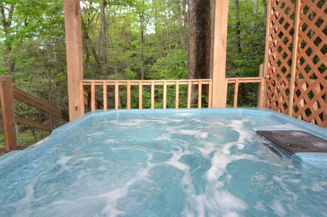 #3690 Bear Creek Lodge Hatchertown Extérieur photo